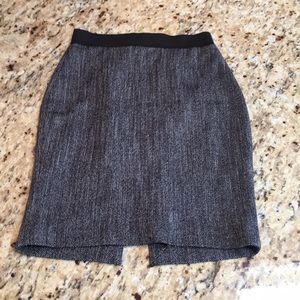 Express Pencil Skirt